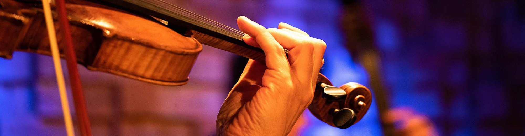 Violine