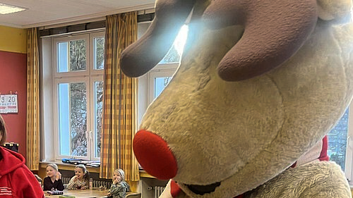 image-479