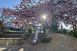 Schulhof der Grundschule Nuttlar